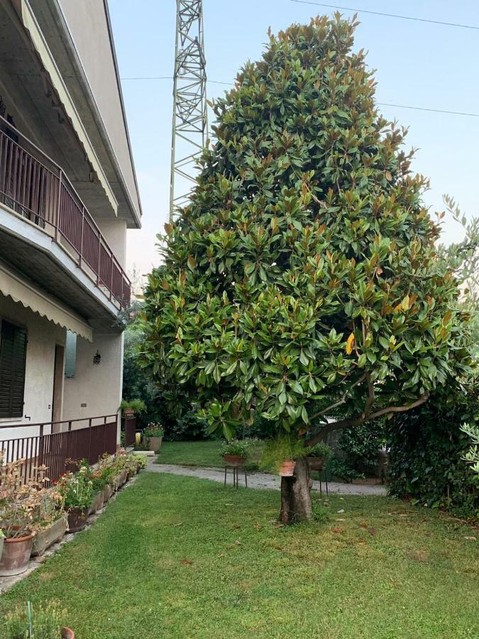 Casa Magnolia Appartement Pastrengo Buitenkant foto